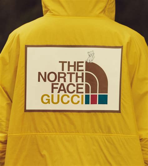 how to buy gucci x north face|gucci x north face tracksuit.